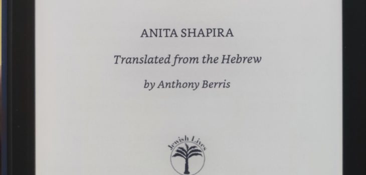 Ben-Gurion: father of modern Israel d'Anita Shapira - revue de lecture sur yowino